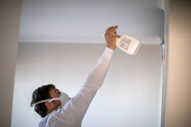 Best Mold Testing  in Walnut Creek, NC