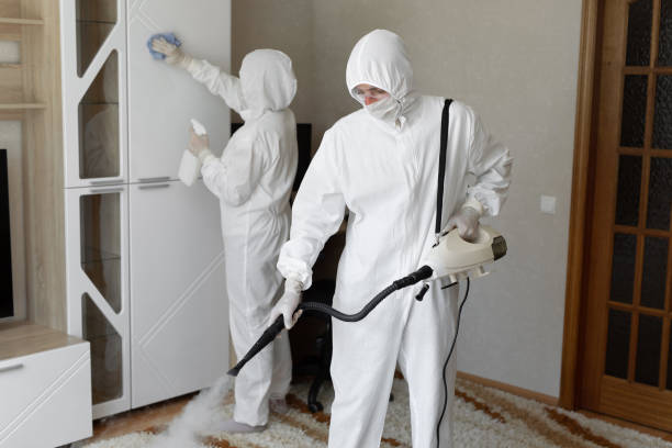 Reliable Walnut Creek, NC Mold Removal Solutions