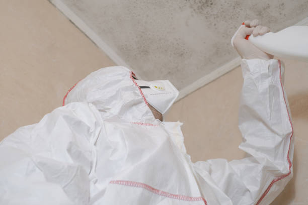 Best Best Mold Removal Companies  in Walnut Creek, NC