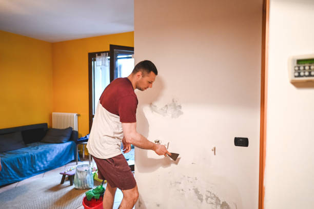Best Crawl Space Mold Removal  in Walnut Creek, NC